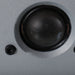 Dyanudio Excite X16 Bookshelf Speakers; Rosewood Pair