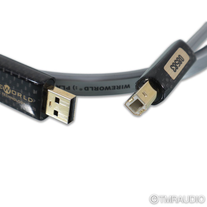 WireWorld Silver Starlight 7 USB Cable; 1m Digital Interconnect