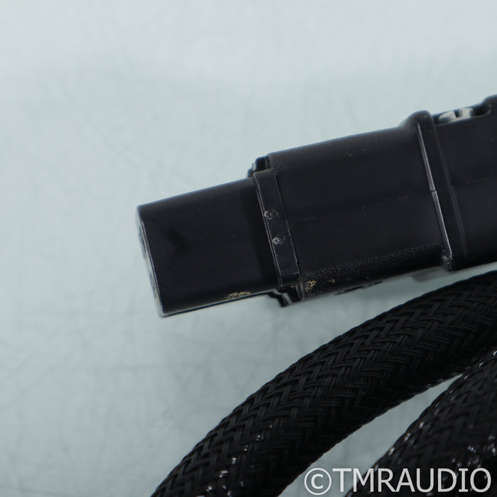 ESP The Essence Power Cable; 4m AC Cord; C19 20A