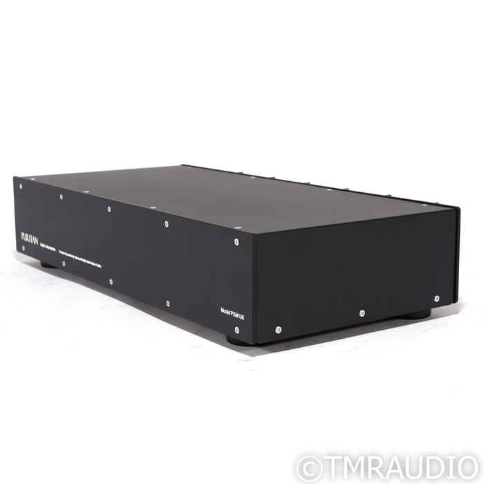 Puritan Audio Labs PSM156 AC Power Conditioner