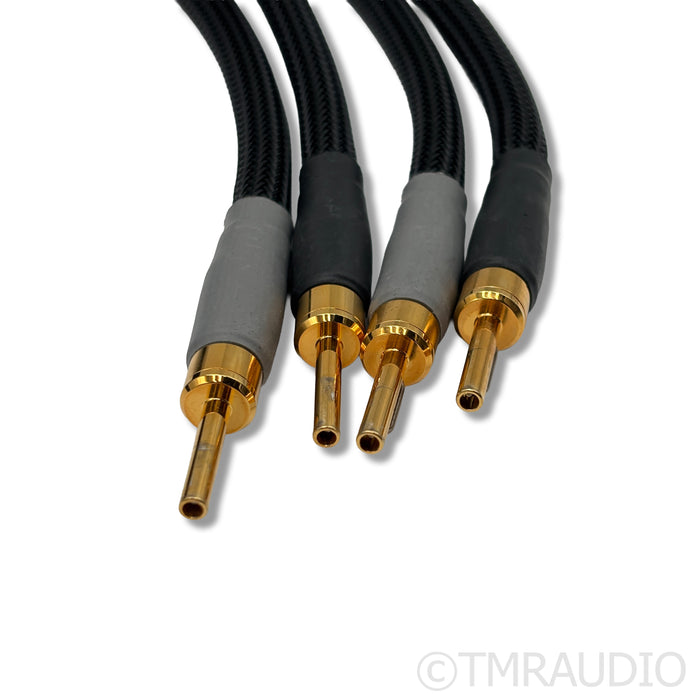 Shunyata Research Theta Speaker Cables; 2.5m Pair
