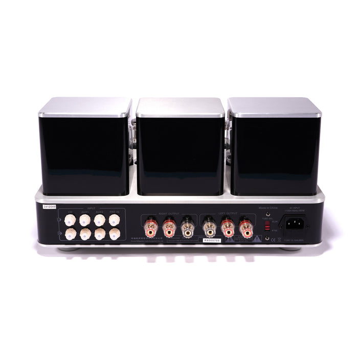 Willsenton R8 Stereo Integrated Amplifier