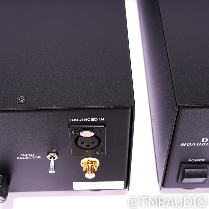 Rogue Audio DragoN Monoblock Hybrid Power Amplifier; Black Pair