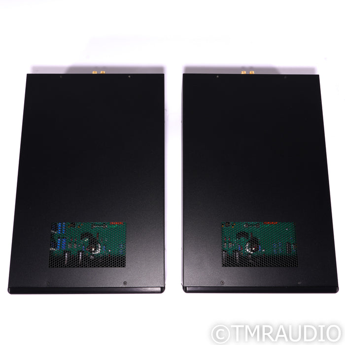 Rogue Audio DragoN Monoblock Hybrid Power Amplifier; Black Pair