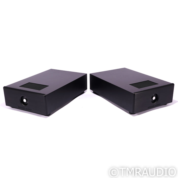 Rogue Audio DragoN Monoblock Hybrid Power Amplifier; Black Pair
