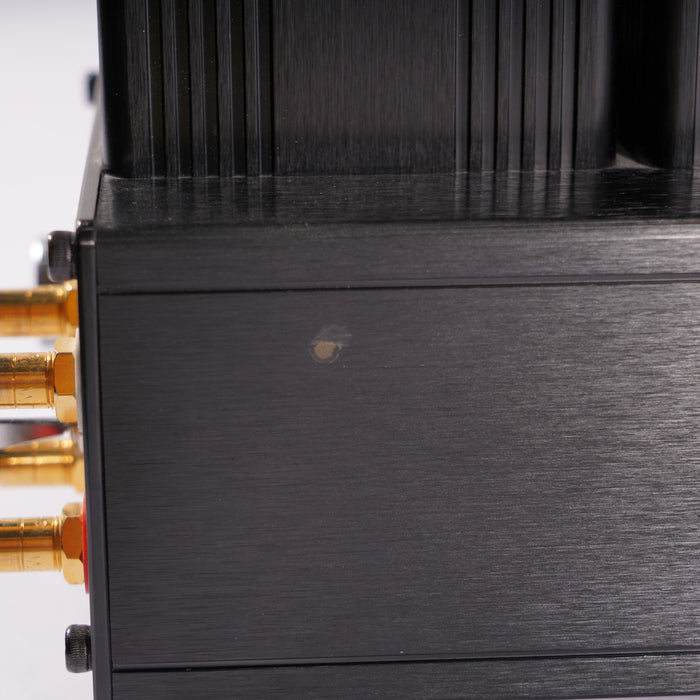 Woo Audio Audio WA6SE Gen 2 Tube Headphone Amplifier