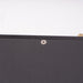 Luminous Audio Arion MKII MC Phono Preamplifier