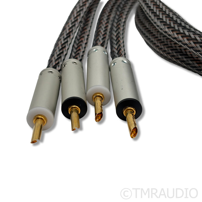 Ansuz Speakz D2 Speaker Cables; 2m Pair