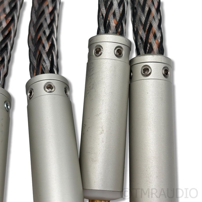 Ansuz Speakz D2 Speaker Cables; 2m Pair