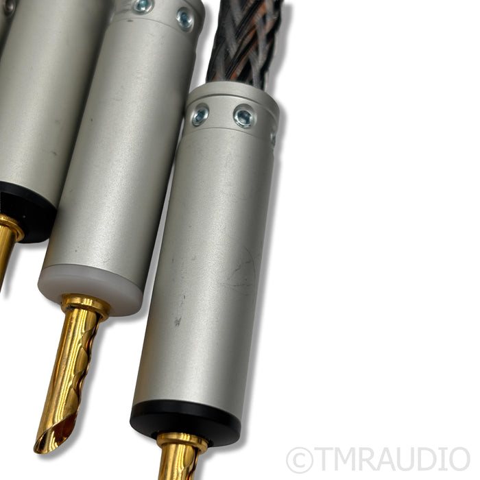 Ansuz Speakz D2 Speaker Cables; 2m Pair