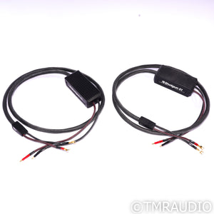 MIT Shotgun S1 Speaker Cables; 10ft Pair