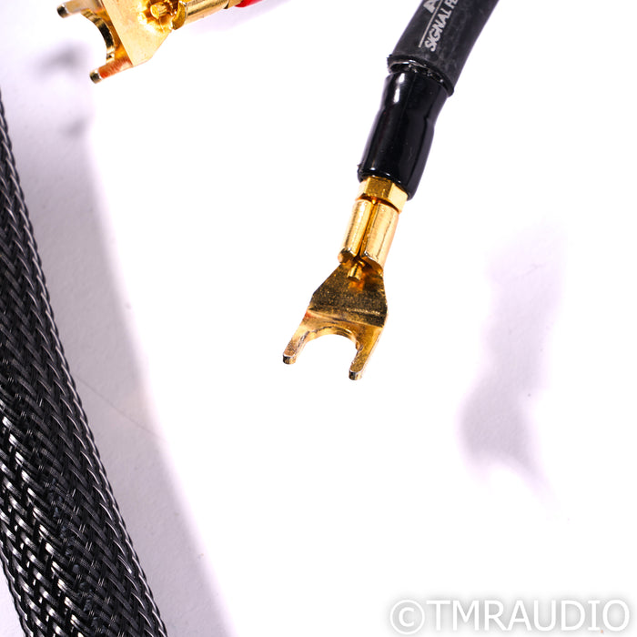 MIT Shotgun S1 Speaker Cables; 10ft Pair