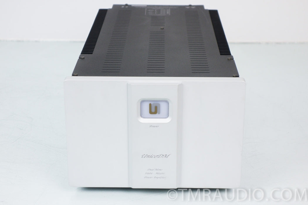 Unison Unico DM Power Amplifier
