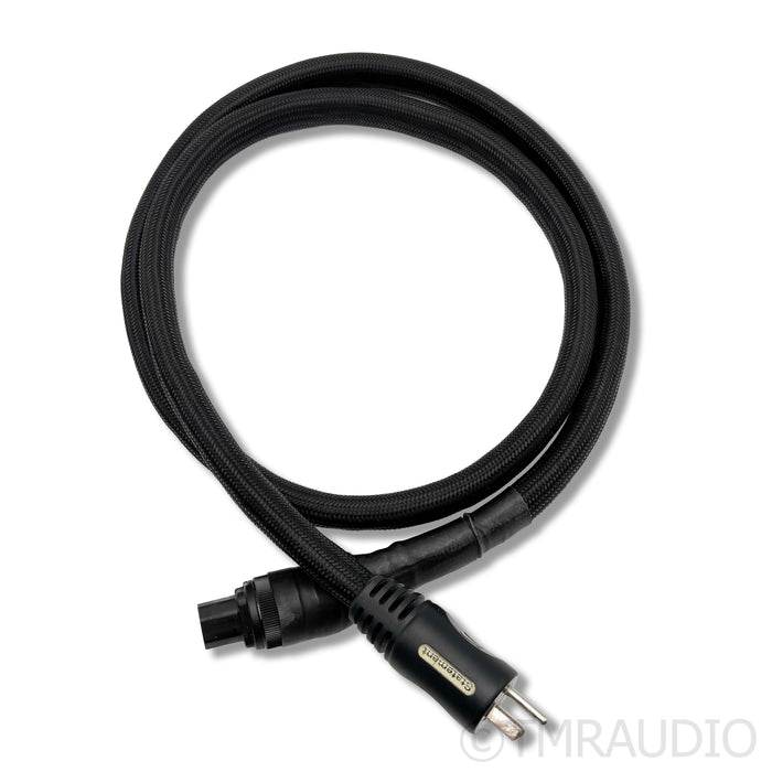 PS Audio Statement SC Power Cable; 2m AC Cord