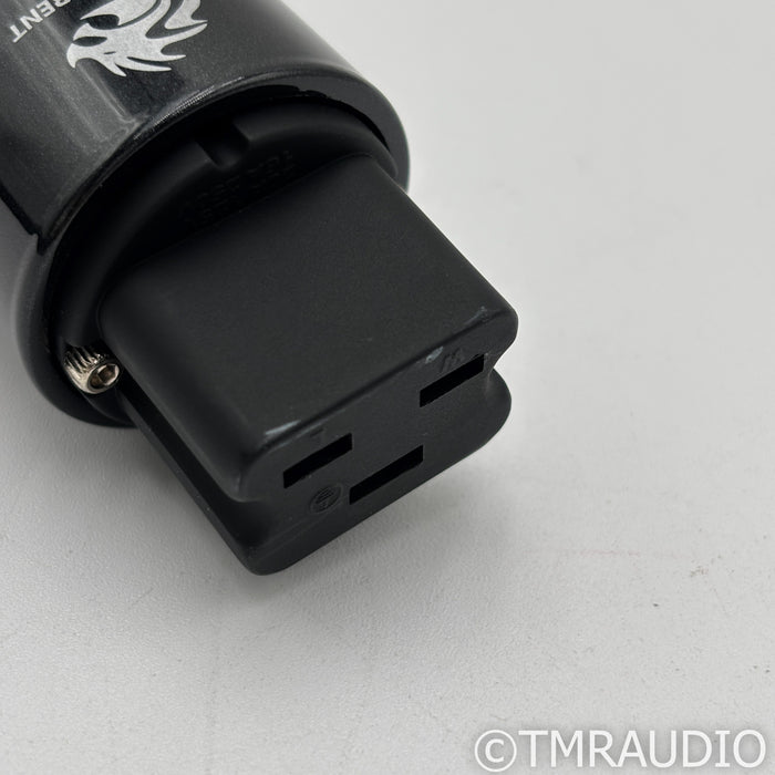 AudioQuest Dragon High Current Power Cable; 1m AC Cord; C19 20A