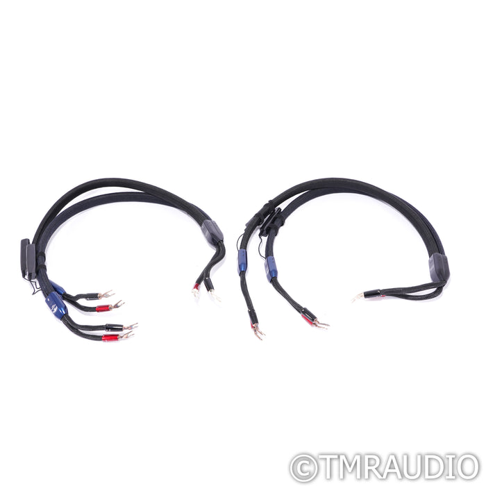 AudioQuest ThunderBird ZERO/BASS Bi-Wire Combo Speaker Cables; 4ft Pair