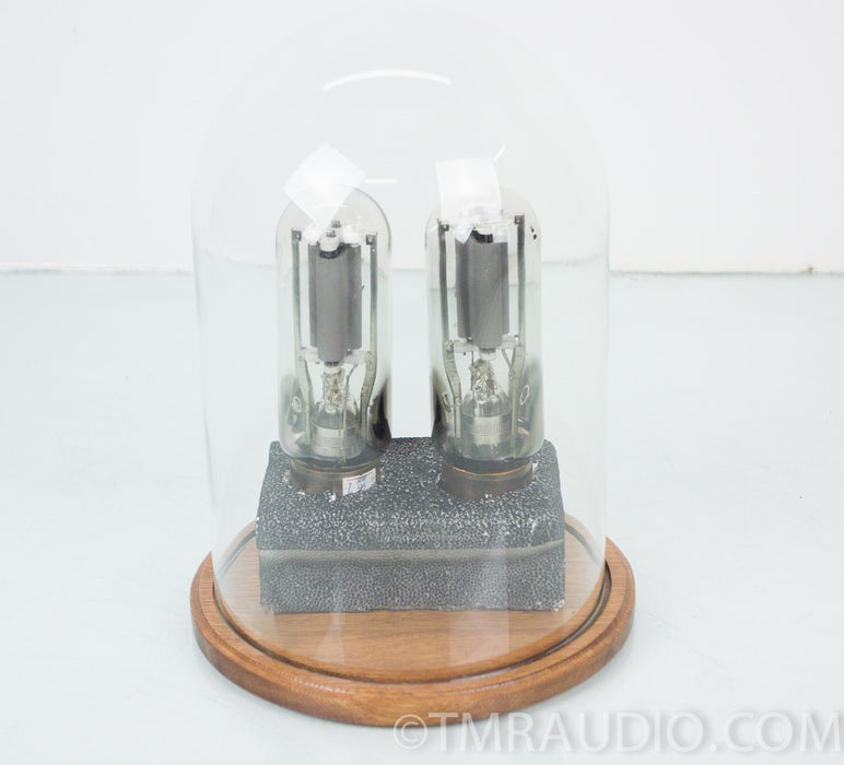 Valve Art 845b Vacuum Tubes in Display Case