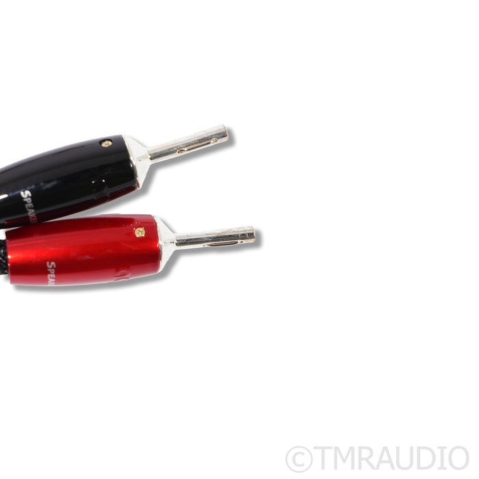 AudioQuest William Tell SILVER Speaker Cable; 10ft Single Cable; 72v DBS