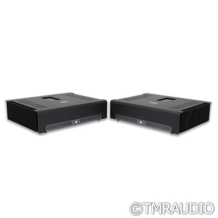 Schiit Audio TYR Monoblock Power Amplifier; Black Pair