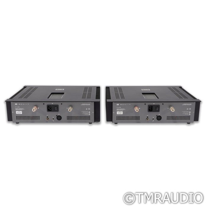 Schiit Audio TYR Monoblock Power Amplifier; Black Pair