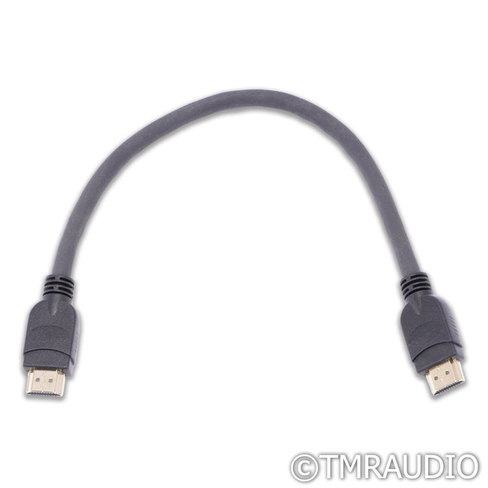Musician Audio Pisces DDC; D/D Converter