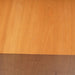 PMC DB1+ Bookshelf Speakers