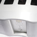 Theta Digital Intrepid 5-Channel Power Amplifier