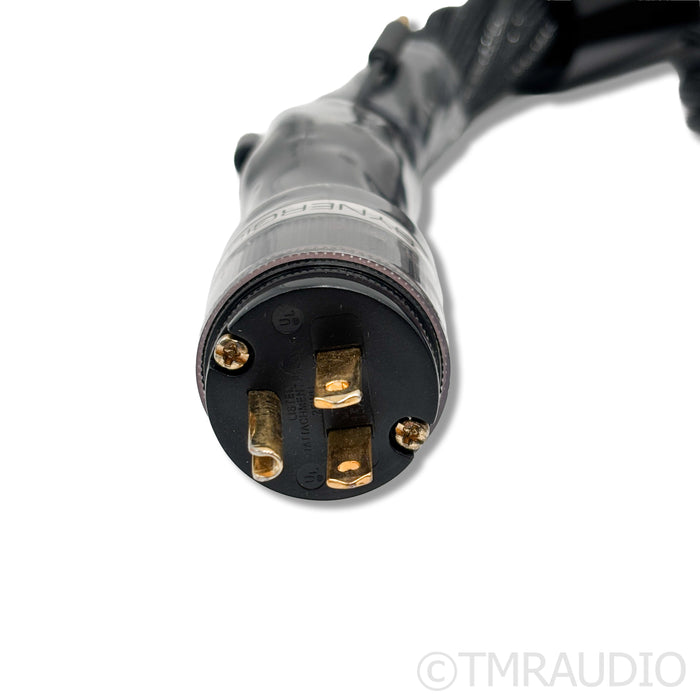 Synergistic Research Galileo SX Power Cable; 12ft AC Cord