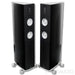 Raidho Acoustics X2.6 Floorstanding Speakers; Black Pair