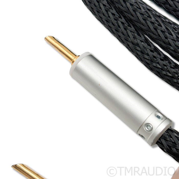 Ansuz A2 Speaker Cables; 3m Pair