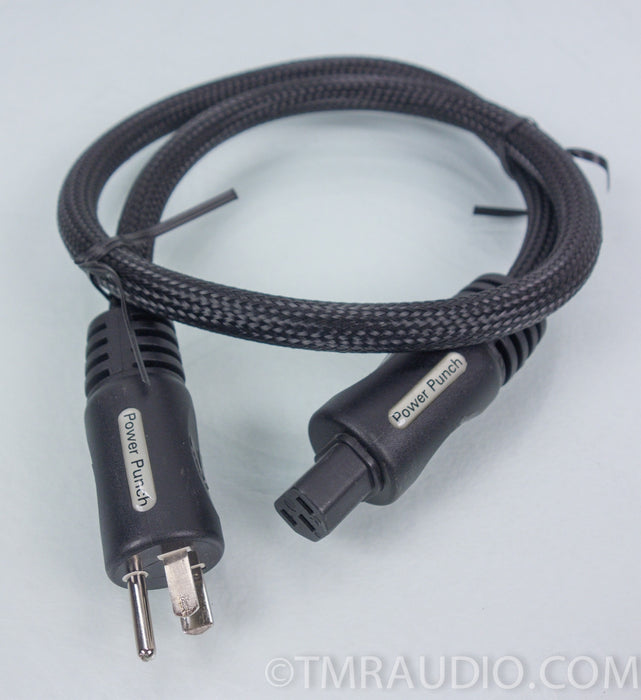 PS Audio Power Punch