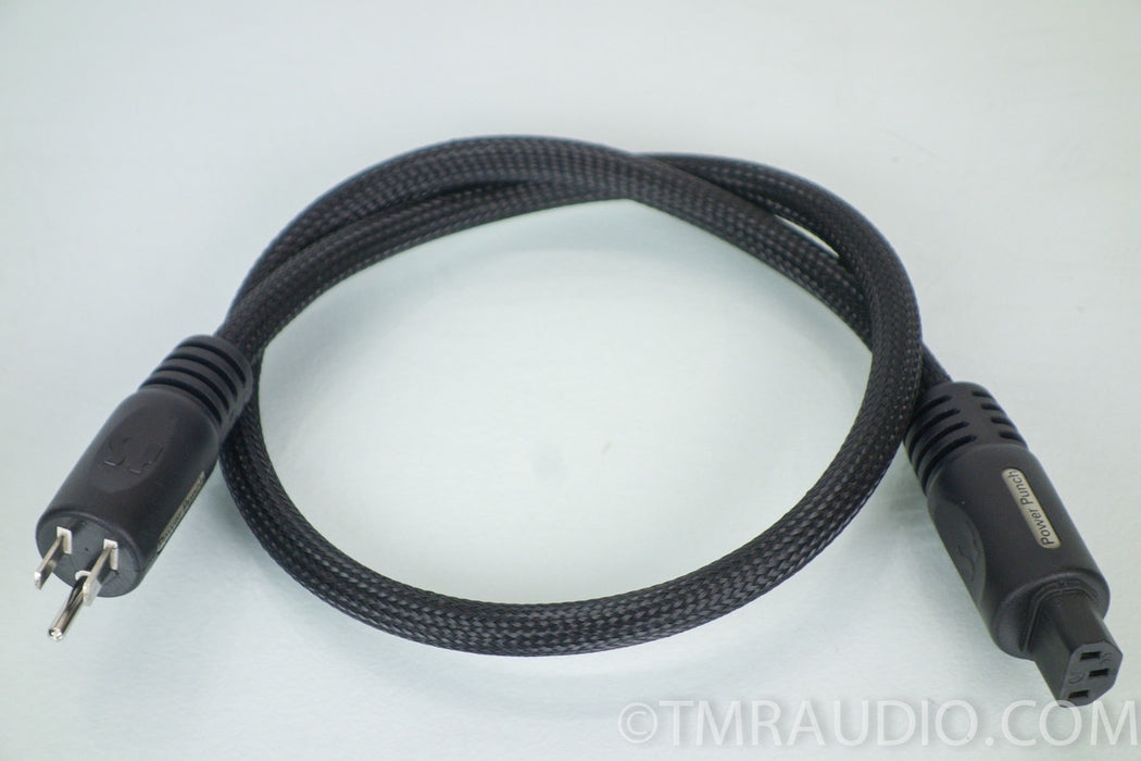 PS Audio Power Punch