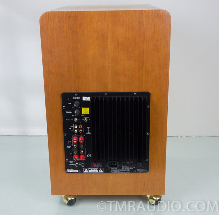 Tyler Acoustics Taylo Subwoofer