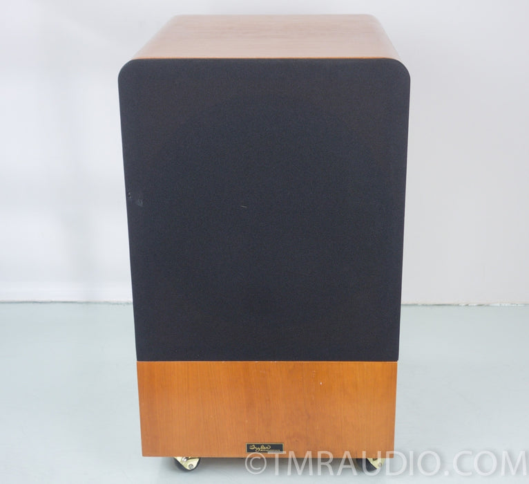 Tyler Acoustics Taylo Subwoofer