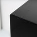 Raidho Acoustics X1 Bookshelf Speakers; Gloss Black Pair