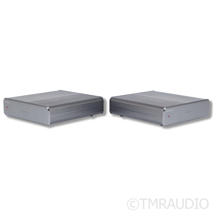 Burson Audio Timekeeper 3X GT Monoblock Power Amplifiers; Pair