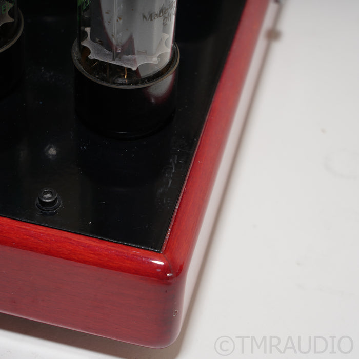 Synthesis The Theatre Monoblock Tube Power Amplifiers; Pair