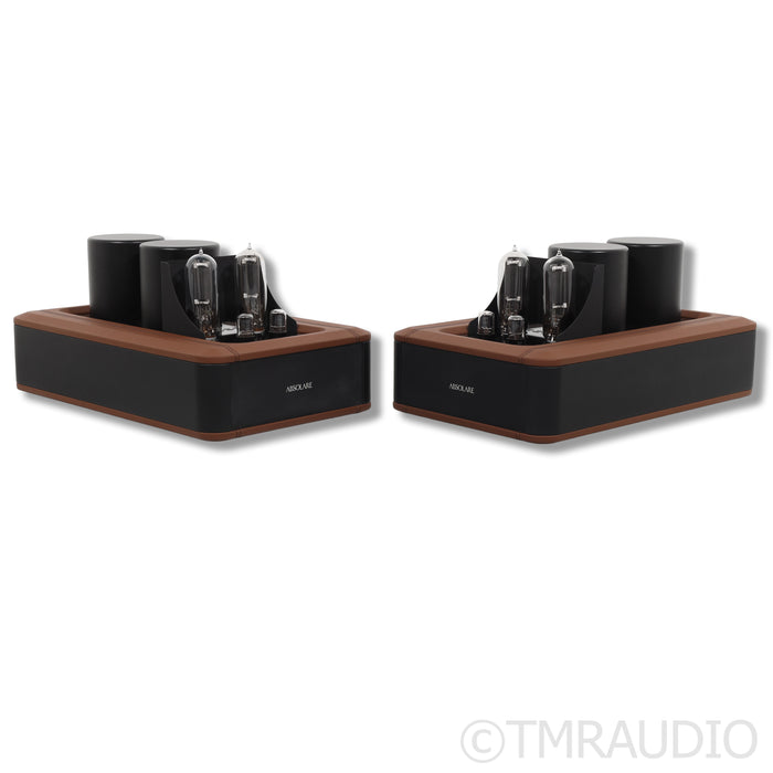 Absolare 845 Signature SE Balanced Edition Mono Power Tube Amplifier (pair)