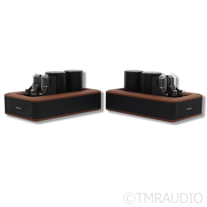 Absolare 845 Signature SE Balanced Edition Mono Power Tube Amplifier (pair)