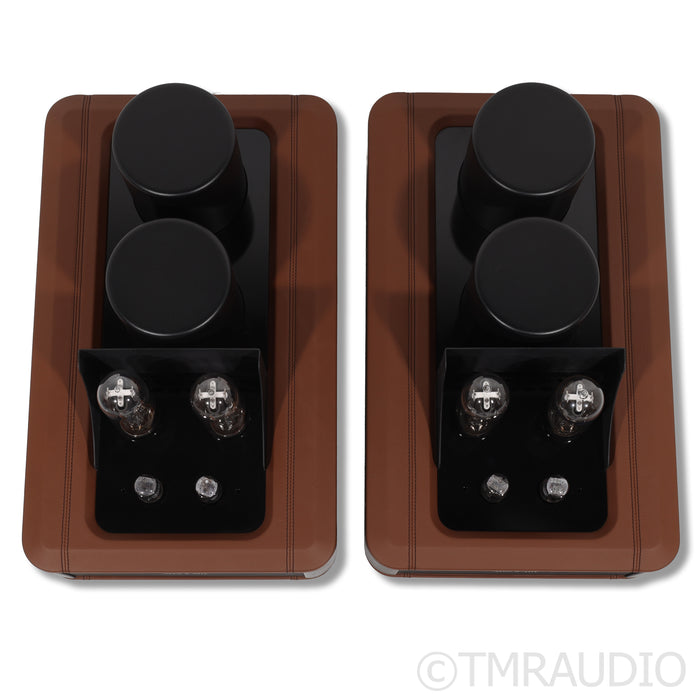 Absolare 845 Signature SE Balanced Edition Mono Power Tube Amplifier (pair)