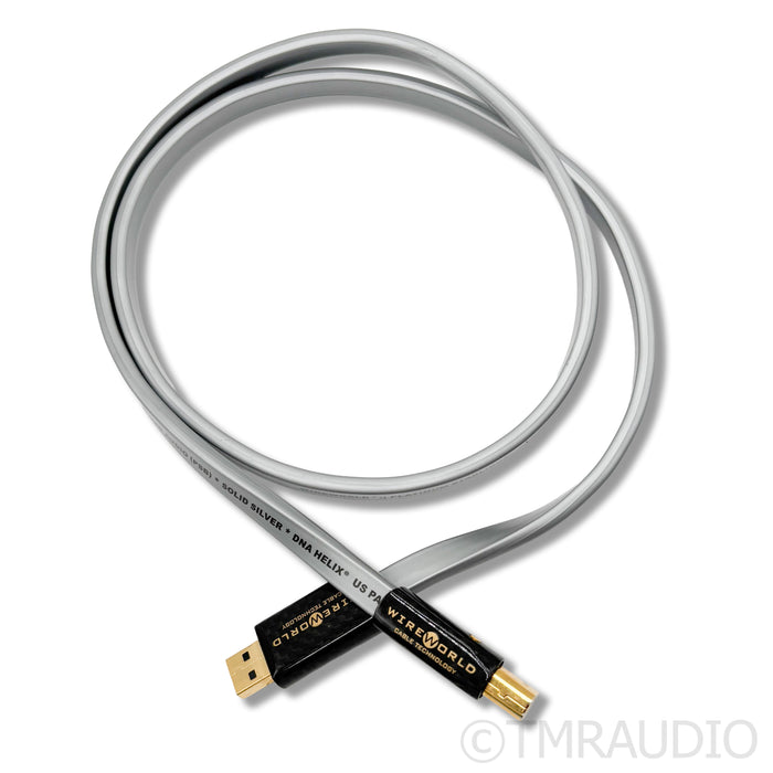 WireWorld Platinum Starlight 7 USB A to B Cable; 1m Single Digital Interconnect