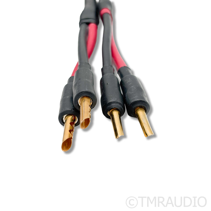 Audience  Au24 SX Speaker Cables; 10ft Pair