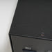 Rogue Audio DragoN Stereo Tube Hybrid Power Amplifier