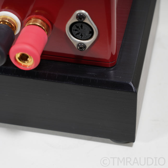 Digital Amplifier Company King Maraschino Cherry Monoblock Power Amplifier; Pair