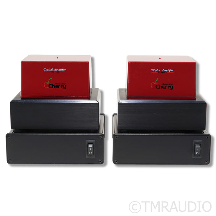 Digital Amplifier Company King Maraschino Cherry Monoblock Power Amplifier; Pair