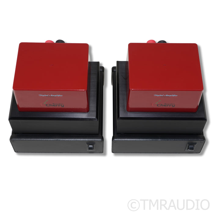 Digital Amplifier Company King Maraschino Cherry Monoblock Power Amplifier; Pair