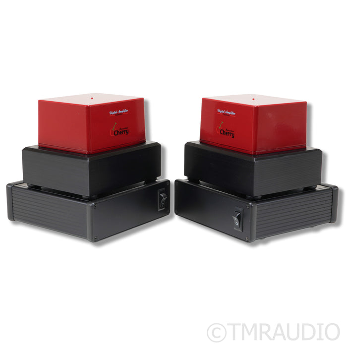 Digital Amplifier Company King Maraschino Cherry Monoblock Power Amplifier; Pair