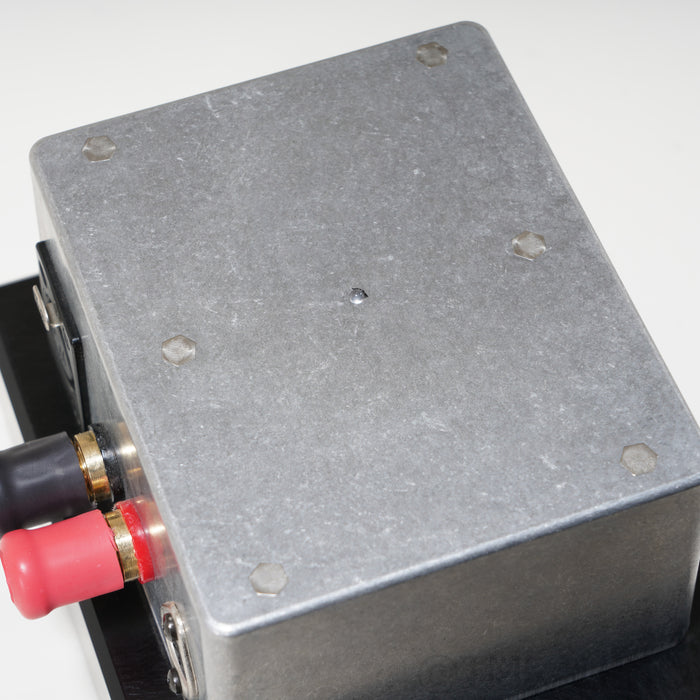 Digital Amplifier Company Maraschino Cherry Monoblock Power Amplifiers; Pair