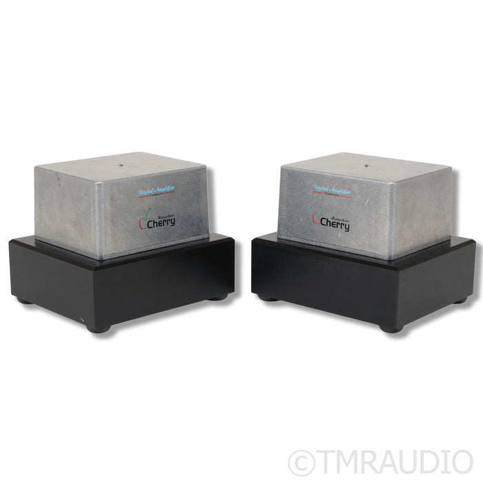 Digital Amplifier Company Maraschino Cherry Monoblock Power Amplifiers; Pair