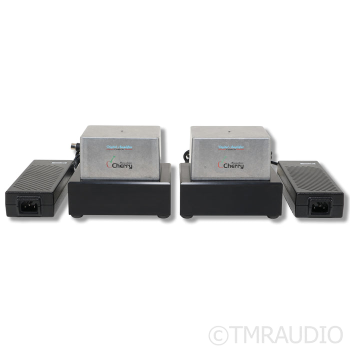 Digital Amplifier Company Maraschino Cherry Monoblock Power Amplifiers; Pair